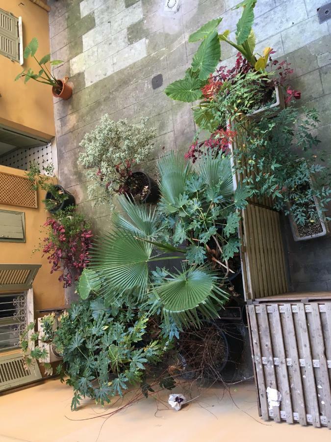 Heart Of Nice Harboor Cosy And Central ภายนอก รูปภาพ